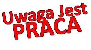 Praca w Holandii – Prasowanie, Maglowanie i Sortowanie Prania – okolice Amsterdamu