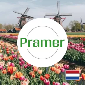 Pracownik produkcji materaców | praca długoterminowa