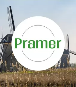 Pracownik produkcji mięsa wieprzowego | brak wymagań ⭐ - praca w Holandii